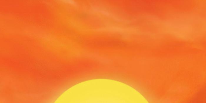 1536x2732 The Lion King (1994) Phone Wallpaper | Moviemania