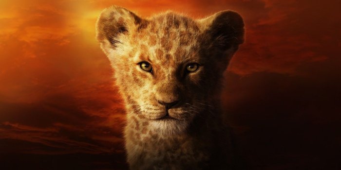1332x850 Wallpaper Cat, Leo, Face, The Lion King, Simba, Cat, Lion, The Lion King,  Muzzle, Simba, Mizuri Official, by Mizuri Official, LION KING! images for  desktop, section фильмы - download