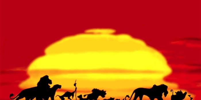 1600x1138 pic new posts: The Lion King Wallpaper For Iphone