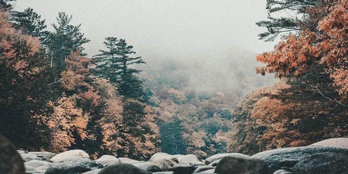 736x1308 15 Gorgeous Happy Fall iPhone X Wallpapers | Wallpaper: iPhone