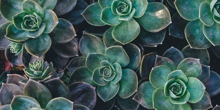 2880x1800 Desktop Wallpaper Gallery // CandidlyKeri | Tech Savvy | Macbook