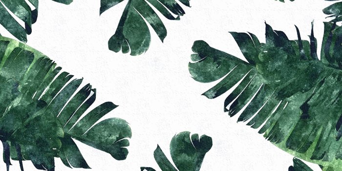 1856x1161 By Uma Gokhale … | Wallpaper | Plano…