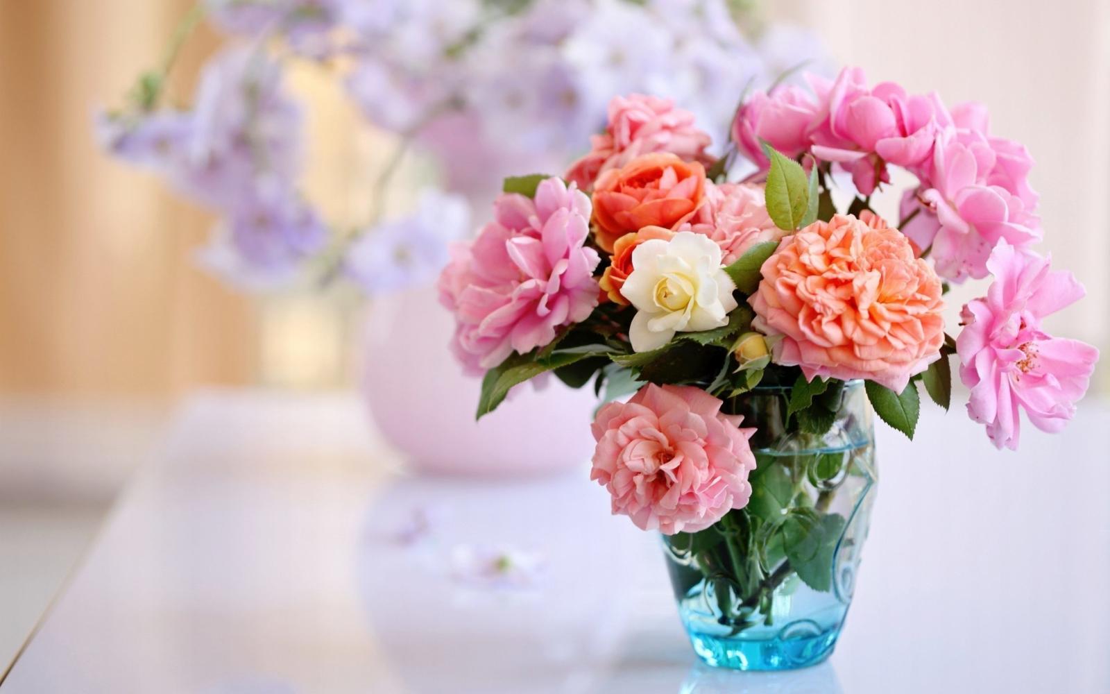 2560x1600 63+ Beautiful Flowers Wallpapers on WallpaperPlay