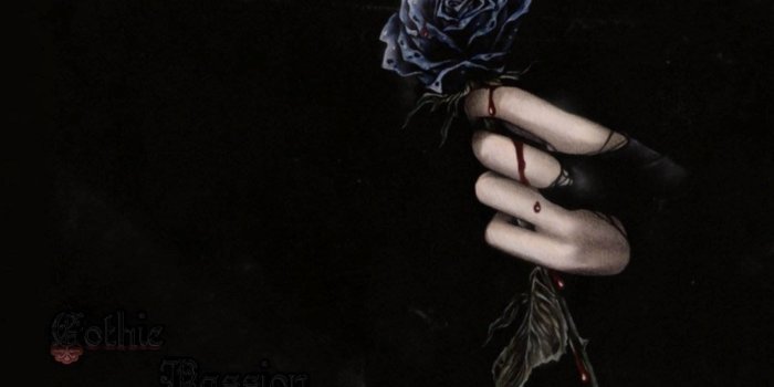 1600x1200 Black Rose Wallpapers - Top Free Black Rose Backgrounds