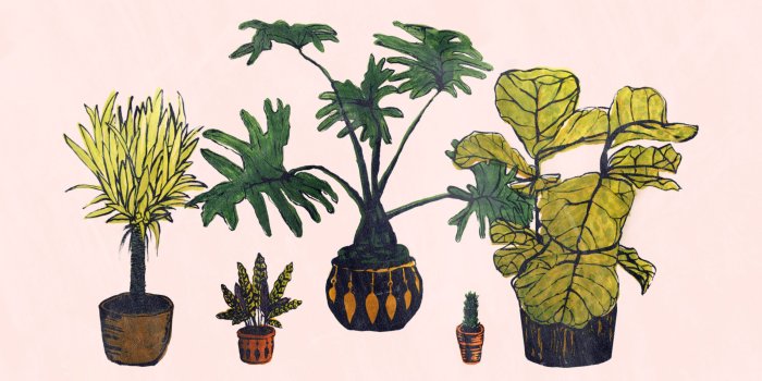 2300x1536 Panda Head: WALLPAPER: MARLEIGH CULVER