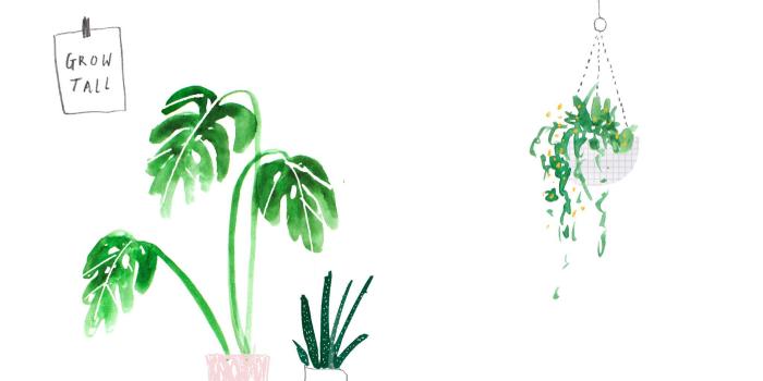 2048x1280 50+ Watercolor Succulent Desktop Wallpapers - Download at WallpaperBro