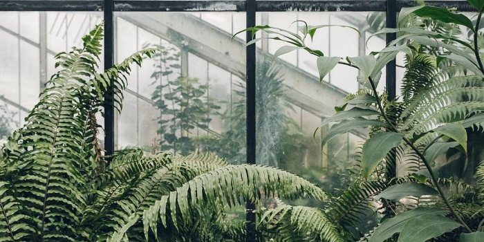 1080x1349 Plant Aesthetic Wallpapers - Top Free Plant Aesthetic Backgrounds