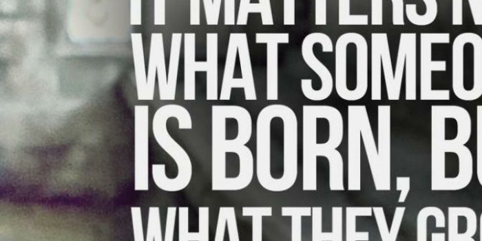 720x1280 Dumbledore Quotes Wallpaper