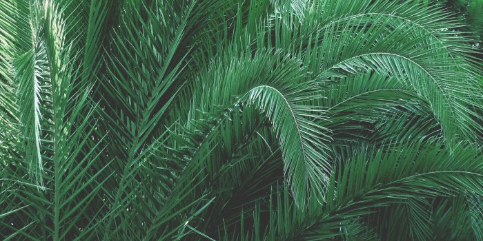 1920x1080 Angela Valdez · Photo Likes