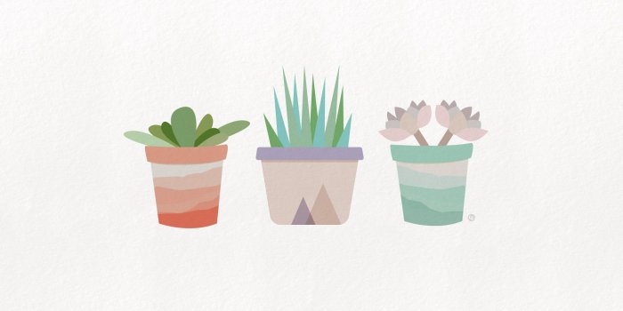 1920x1080 Plant Aesthetic Laptop Wallpapers - Top Free Plant Aesthetic Laptop