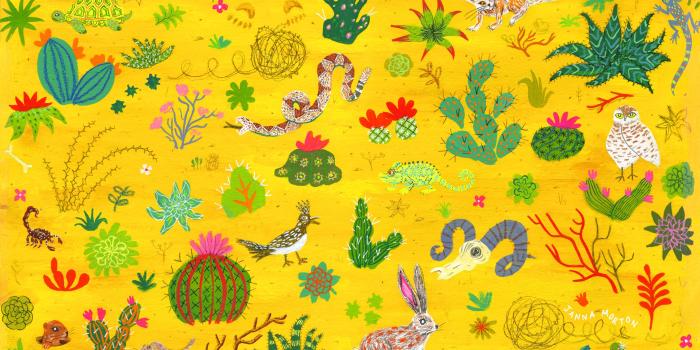 2560x1440 Wallpaper : cactus, snake 2560x1440 - thegr8zbt - 1437103 - HD