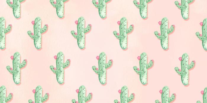 2560x1600 55+ Cactus Computer Wallpapers - Download at WallpaperBro