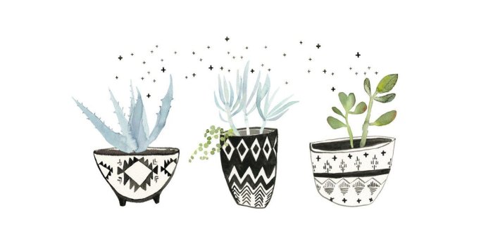 1280x801 Succulents | 30 Free Beautiful Watercolor Wallpapers That Should Be
