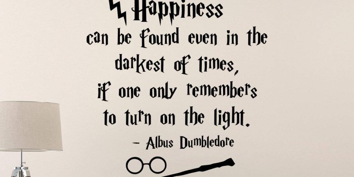 1500x1462 Amazon.com: Albus Dumbledore Quote Harry Potter Wall Decal Happiness