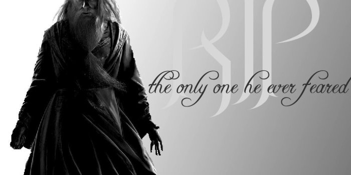 1024x768 Albus Dumbledore Quotes Wallpaper