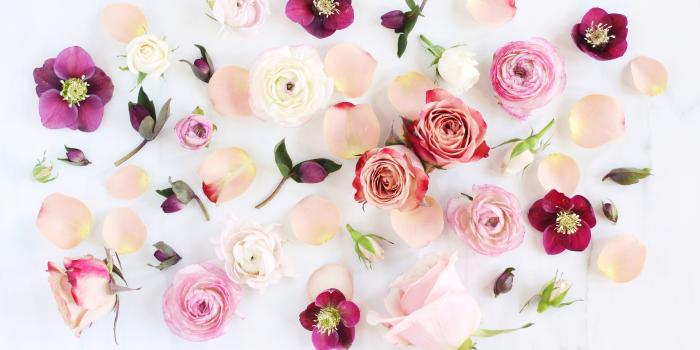 4980x3320 Aesthetic Flowers Desktop Wallpapers - Top Free Aesthetic Flowers