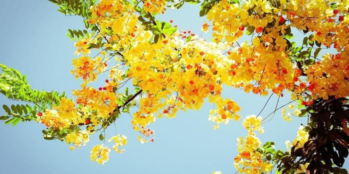 1920x1080 Yellow Aesthetic Computer Wallpapers - Top Free Yellow Aesthetic