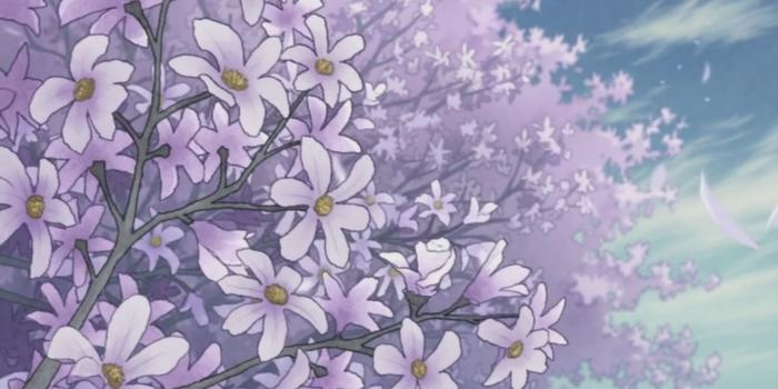 1920x1080 Aesthetic Flower Wallpapers - Top Free Aesthetic Flower Backgrounds