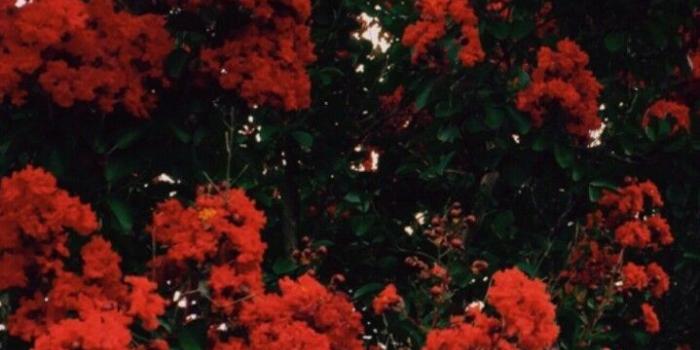 719x1280 11+ Awesome 10 Year Old Girls Hairstyles Ideas | Nature Wallpapers