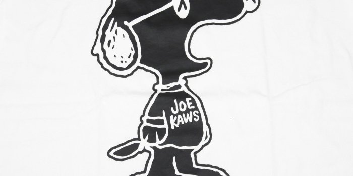 1600x1200 KAWS X Sesame Street Wallpapers