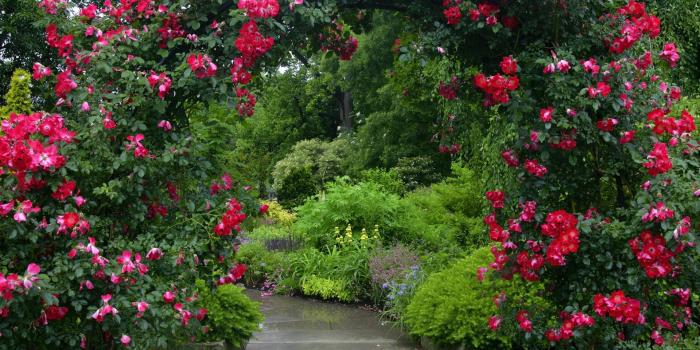 1920x1200 Flowers: Computer Wallpaper Flower Gardens Computer Wallpaper For