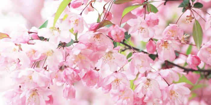 1920x1080 Aesthetic Background HD Free Download For PC Desktop