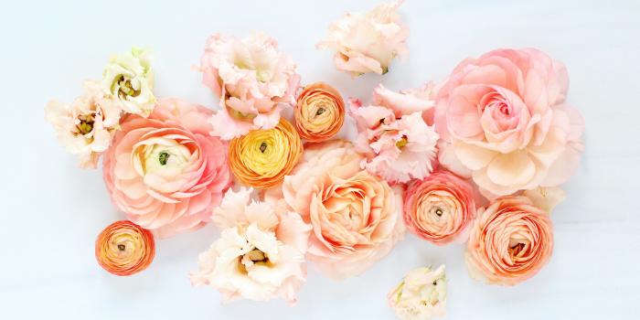 5125x3414 Laura Jauhiainen on // desktop wallpaper in 2019 | Free