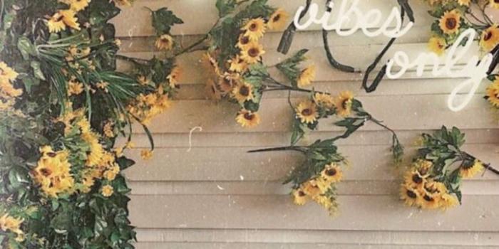 719x1280 Aesthetic Flowers Wallpapers