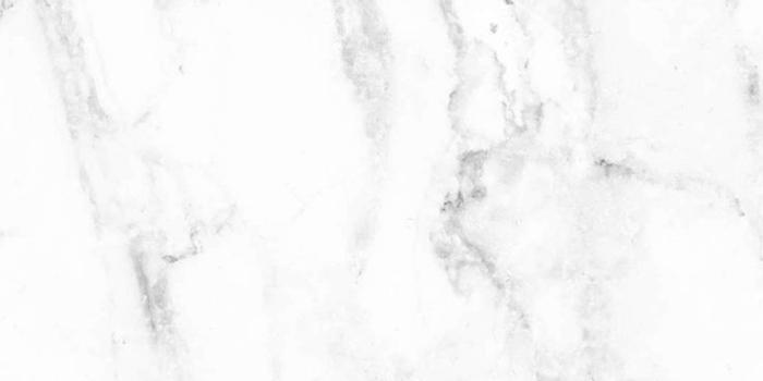 736x1309 Best Minimalist Wallpaper ideas Flower iphone