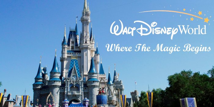 3000x1994 72+ Disney World Wallpapers on WallpaperPlay