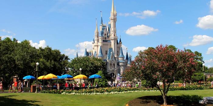 1024x1024 WDWLIVE - Walt Disney World iPad Wallpaper