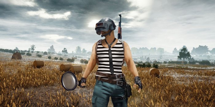 2560x1440 Download 2560x1440 wallpaper pubg, helmet guy, the pan player