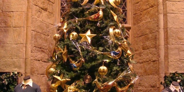 1200x1600 Hogwarts Christmas Tree | Christmas | Hogwarts christmas, Christmas