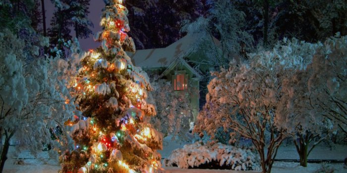 1920x1200 Harry Potter Christmas Wallpaper (101+ images in Collection) Page 1