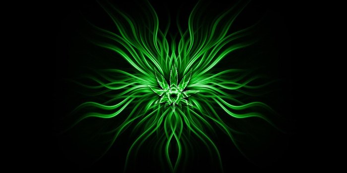 1920x1080 Weed Wallpaper on newwallpaperdownload.com