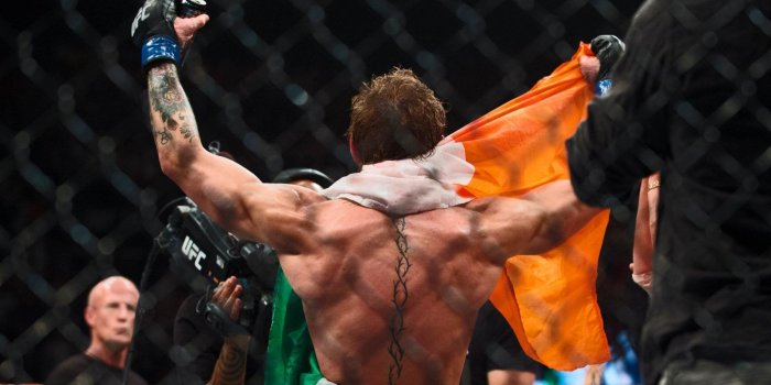 1800x1013 Conor McGregor HD Wallpapers | 7wallpapers.net