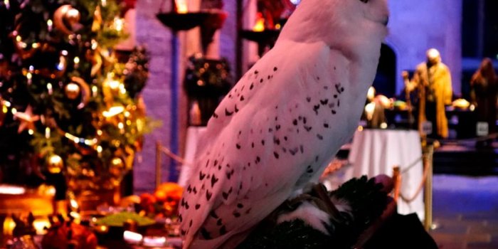 853x1280 Hogwarts Christmas Feast - The Londoner