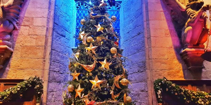 1600x1200 15 Things you need to know about Hogwarts in the snow - Plutonium Sox