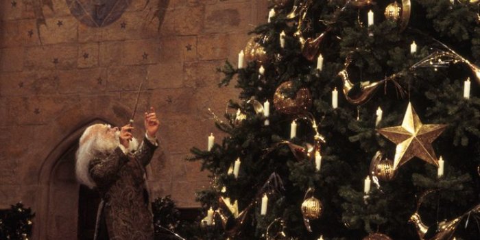 736x1118 381 images about Harry Potter Phone Backgrounds on We Heart It | See