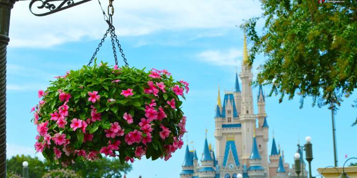 1920x1080 Walt Disney World Resort Wallpaper for Desktop, Laptop and SmartPhones