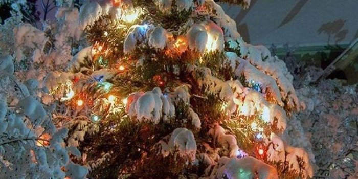 750x1334 25 Christmas iPhone Wallpapers