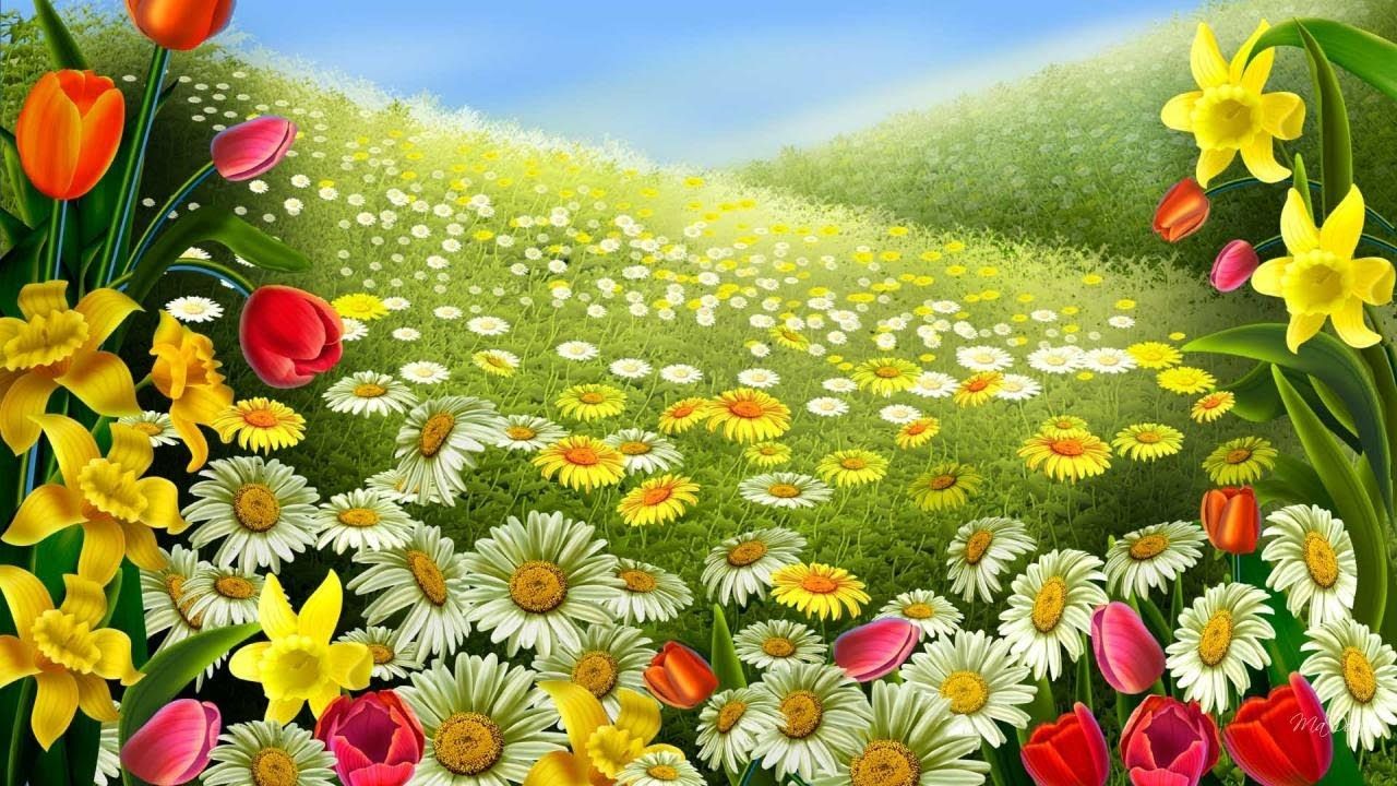 1280x720 Beautiful Flower Wallpaper
