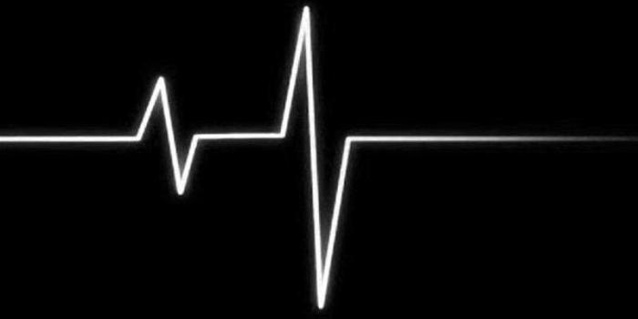 800x1280 Lit Wallpapers