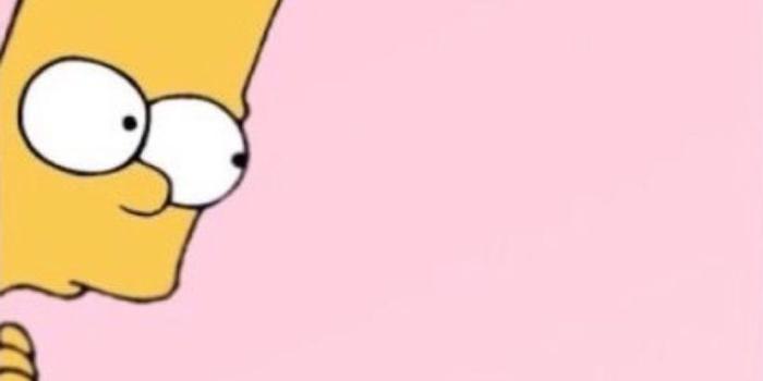 1242x2208 71+ Funny Simpson Wallpapers on WallpaperPlay