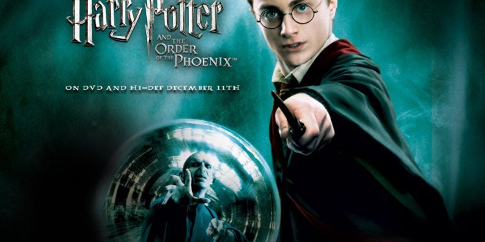 1280x1024 Group of Harry Potter All Characters Wallpapers Slideshows