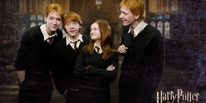 1280x1024 Harry Potter and the Order of the Phoenix Wallpaper 13 - 1280 X 1024