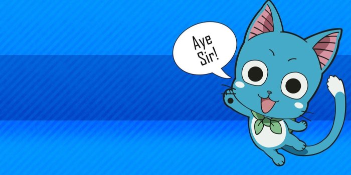 1920x1080 Fairy Tail Happy Wallpaper (70+ images)