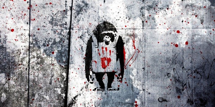 1920x1080 74+ Banksy Art Wallpapers on WallpaperPlay