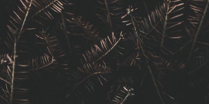 736x1308 15 Gorgeous Happy Fall iPhone X Wallpapers | Preppy Wallpapers