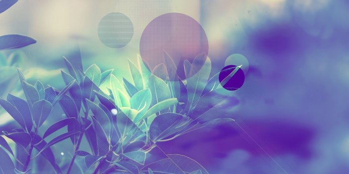 1920x1200 Purple Goth Wallpapers (62+ images)